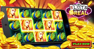 nota4d App nota4d App